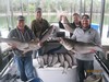 (08/06/2017) - Nice Striped Bass
